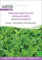 Sativa Rheinau kr34 Griechischer Oregano (Bio-Oreganosamen)
