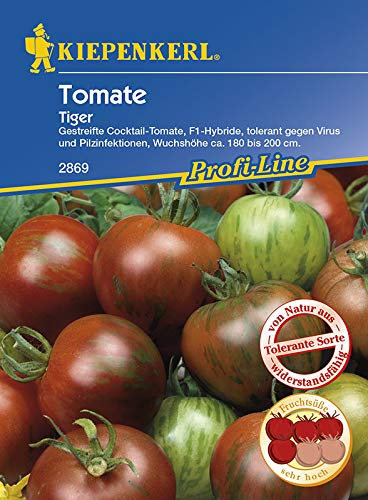 Kiepenkerl Cocktail-Tomate Tiger, F1 | gestreifte Früchte | süßer Geschmack | 1 Packung Samen