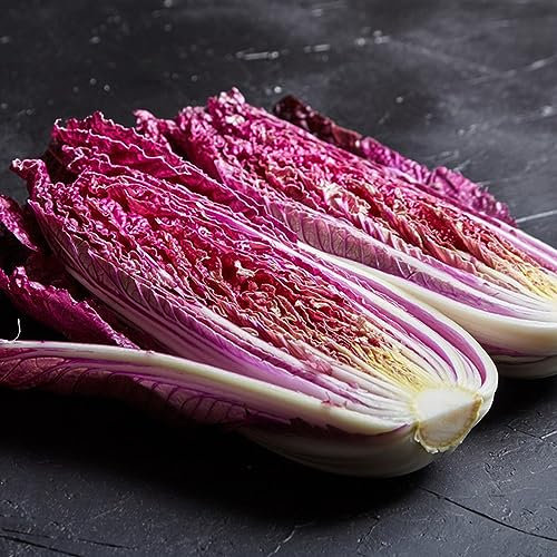 300 Pezzi Semi Di Cavolo Cinese Biologici, Semi Verdure Invernali Piante Rare Semi Di Pak Choi, Semi Vecchie Varietà Piante Propagazione Semi E Piante Di Ortaggi Piante Esotiche Perenni