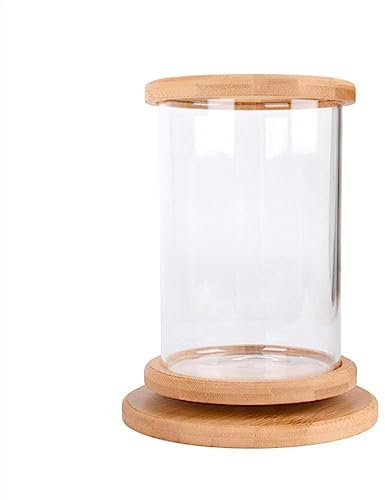 FAJNUZI2024 Aquarium Réservoir d'aquarium en Verre Transparent avec Base en Bois, réservoir décoratif Rotatif for Aquariums, Petit réservoir écologique Bocal Poisson