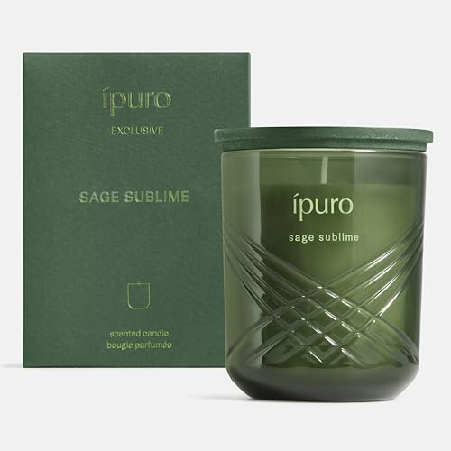 ipuro Exclusive Elegante Duftkerze im Glas SAGE SUBLIME 270g - Premium Kerze mit erhöhtem Duftölanteil - Hochwertige Duftkerze im Glas mit Limette Salbei & Lavendel Duft - Raumduftkerze Wohnung
