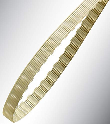 Courroie compatible MAYTRONICS DOLPHIN 5581075 Robot Piscine