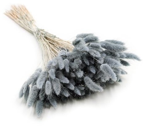 Enchanted Dekogras Getrocknetes Gras Ziergras Hasenschwänze Lagurus Ovatus Samtgras Häschen-Schwanzgras Trockenblumen Natürlich Boho 120 - 150 Stück 100 g Perlgrau