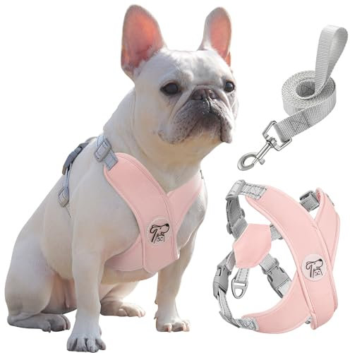 Pawaboo Hundegeschirr mit Leine-Set, X-Rahmen, kein Ziehen, verstellbar erstickungsfrei Hundewestengeschirr für kleine, mittelgroße Hunde Welpen, Welpenweste mit Leine für Spaziergänge (L, Rosa)