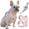 Pawaboo Hundegeschirr mit Leine-Set, X-Rahmen, kein Ziehen, verstellbar erstickungsfrei Hundewestengeschirr für kleine, mittelgroße Hunde Welpen, Welpenweste mit Leine für Spaziergänge (L, Rosa)
