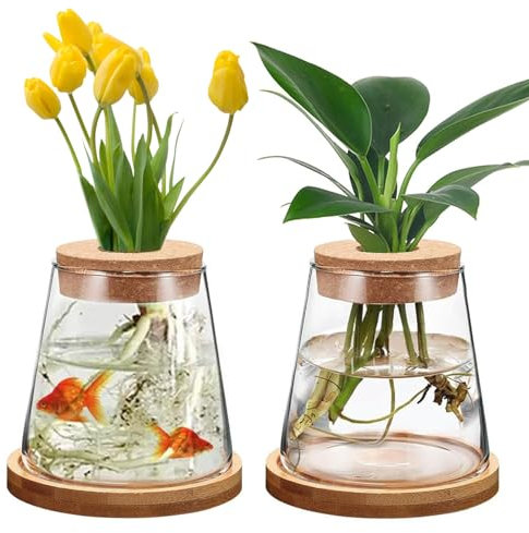 2 Jarrones Hidropónicos de Cristal con Base y Tapones de Corcho, Jarrón Transparente de Escritorio, Macetas Hidropónicas, para Decoración de Mesa