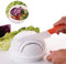 Jean-Patrique Salad Cutter Bowl