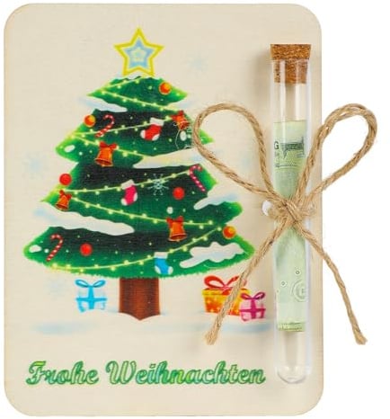Seutgjie Geldgeschenk Weihnachten für Junge Mädchen Kinder Mann Frau Freund Familie Verpackung Geld Gutschein Weihnachten mit Reagenzglas für Geld