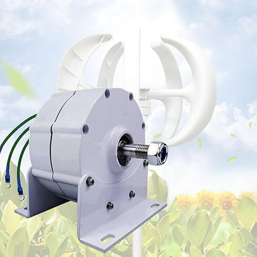 Asdfeop Generatore a Basso Numero di Giri da 12 V, 24 V, 48 V, 110 V, 220 V, 10000 W, con alternatore brushless ad Alta efficienza per Motore Diesel di Turbine eoliche e idroelettriche, 12 V