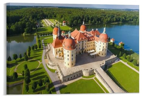 Puzzle 1000 Teile,Luftaufnahme von Schloss Moritzburg und dem Schlosspark,Kinderspielzeug Dekompressionsspiel Klassisches Spiel Puzzle(50x70cm)-214