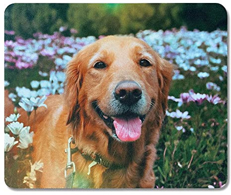 LOOXIS Personalisiertes Mauspad mit Foto & Text Bedruckt, selbst gestalten – rutschfeste Unterseite – Geschenkidee Männer, Frauen, Freunde, Kinder, Gamer, Büro – Rechteckig, 23x19 cm