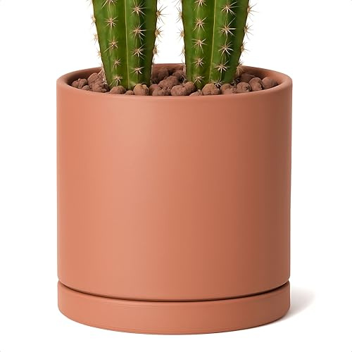 D'vine Dev Großer 25,4 cm großer Terrakotta-Blumentopf mit Ablaufloch und Untersetzer, runder Zylinder-Pflanztopf für Zimmerpflanzen, 40-X-A-5