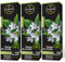 Ambar Perfums Ambientador Mikado Dama de Noche. Ambientador de Varillas 0% Alcohol, +60 días duración. (Pack 3 uds. x 45 ml)
