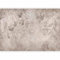 murando - Papier Peint Panoramique Adhésif Nature 392x280 cm - Tapisserie Murale Autocollante Décoration Moderne Chambre Salon - Gris beige - b-A-10074-a-a