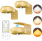 WILLED Luce per Quadro Quadri Faretto Quadri Parete Interno Lampada fotografica Ricaricabile Batteria Telecomando Notturna Magnetica Armadio 3 Temperature Di Colore（3 Pezzi, Oro）