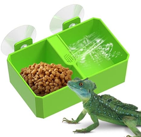 Bol Caméléon - Bol d'alimentation Caméléon, chargeur d'eau pour reptiles avec ventouse, 2 bols d'alimentation en eau en grille, bol de nourriture pour reptiles et