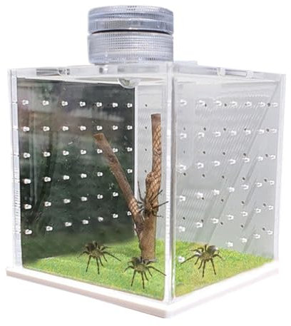 Reptilien Terrarium Box, Reptile Growth Terrarium, Futteraufzuchtbox Mit Leichtem Luftbefeuchter Faunarium Für Schnecken, Insekten, Vogelspinnen, Springspinne, Leopard Gecko, Einsiedlerkrebs