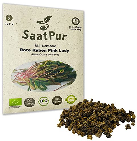 Pink Lady BIO Keimsprossen von SaatPur - Rote Rüben Beete Sprossen - Microgreens - 30g