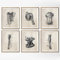 HMXQLW Leinwandbilder Menschliche Anatomie Vintage Bilder, Physiotherapis Muskel Skelett Vintage Bild Krankenhaus Klinik Wandkunst Poster, Krankenhaus Wandbilder Malerei X6 Rahmenlos(50X70CM)