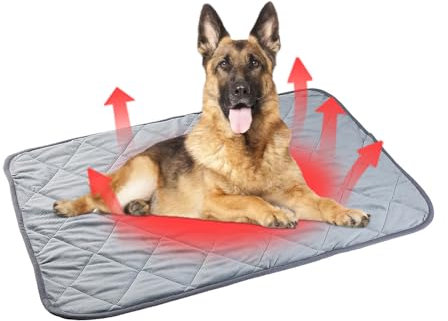 Monadirect Wärmedecke Katze Selbstwärmende,Selbstheizende Decke für Katzen,Hunde,Kuscheldecke Hund,Hundedecke Sofa Waschbar mit Rutschfester Unterseite,Katzendecke für Katzen (XL)