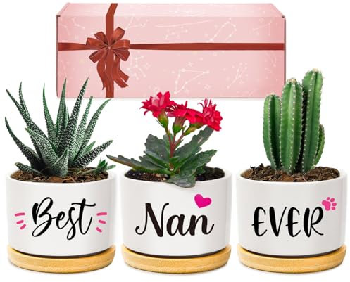 Giftasy Nan Gifts, Nan Christmas Birthday Gifts, Best Nan Ever Succulent Pots Gifts for Nan from Grandchildren, Unique Garden Gift Ideas for Nan on Christmas Mother's Day, Presents for Nan