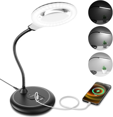 Raweao Lampe Loupe 5X, Loupe avec Lumière et Support et Ports de Charge, Lampe sur Pied avec 30 Lumières LED pour Personnes âgées, Lecture, Couture, Bijoux, Loisirs - Noir