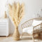 10er-Set Pampasgras XXL mit trockenblumen zum basteln, Großes Pampasgras für Boho Deko in Wohnzimmer, Schlafzimmer, Essbereich, Hochzeiten und Hotels