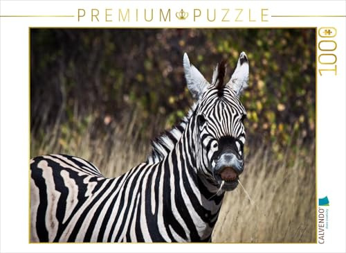 CALVENDO Puzzle Zebra, Botswana | 1000 Teile Lege-Größe 64 x 48 cm Foto-Puzzle für glückliche Stunden