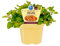 Bio Oregano (Origanum vulgare), Kräuter Pflanzen aus nachhaltigem Anbau, (1 Pflanze)
