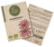 Little Plants BIO Sonnenhut Samen, 100 Sonnenhutsamen, hohe Keimrate, 100% Natürlich, BIO Samen Echinacea Purpur für Blumengarten Blumenbeet Hochbeet – BIO Blumensamen Blumenwiese Nachhaltig