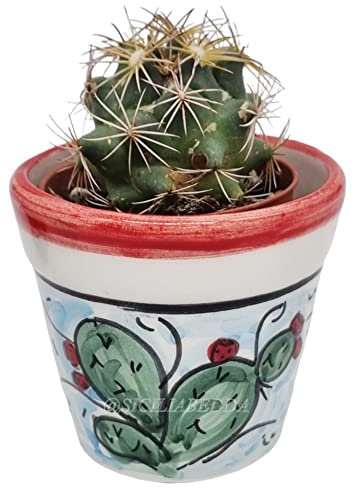 Sicilia Bedda - VASO MIGNON IN CERAMICA SICILIANA - CON PIANTINA GRASSA INCLUSA - Prodotto Artigianale di Qualità (Decoro Ficodindia)