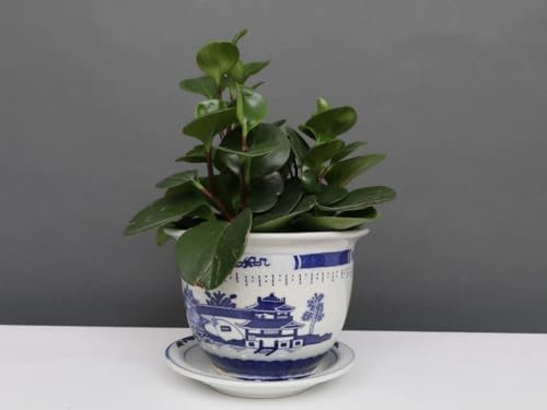 Yajutang China Porzellan Blumentopf Blau-Weiß mit Landschaft Ø 29cm …