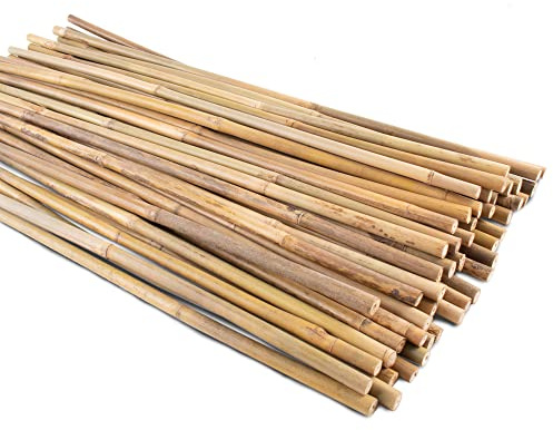 50 estacas de jardín, palos de bambú de 0.3 pulgadas/16 pulgadas, estacas naturales para plantas de interior y exterior, postes para tomates, frijoles, plantas en maceta