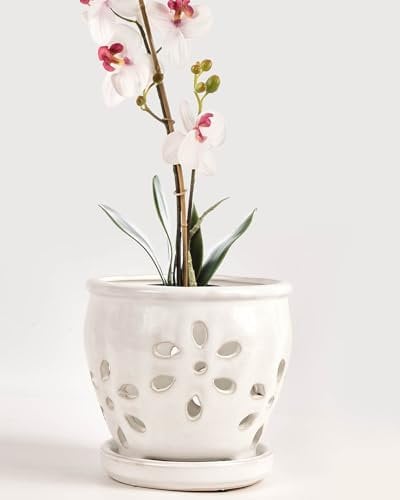vensovo Vasi per orchidee in ceramica da 13 cm, con fori e piattini, 1 piccolo vaso per piante grasse per rinvaso, vasi da giardino per piante interne ed esterne, favorisce la circolazione dell'aria,