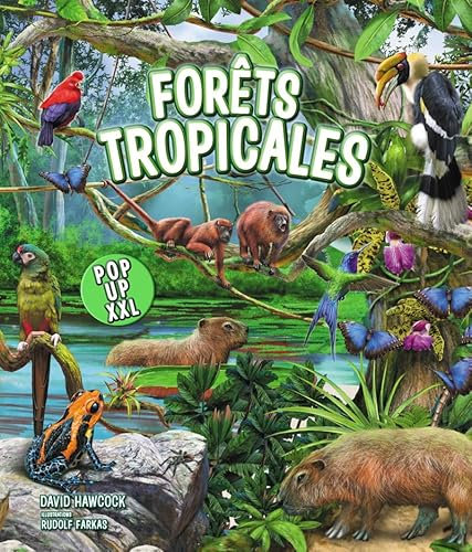 Forêts tropicales - Pop-up XXL
