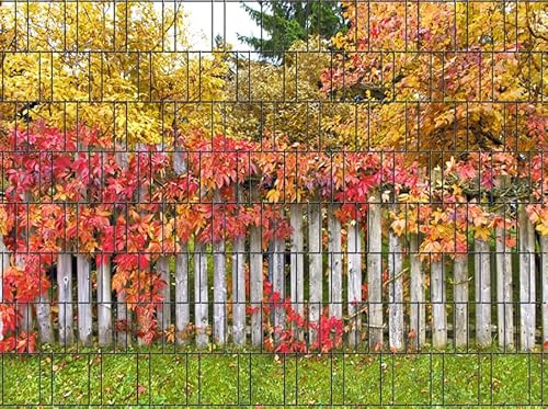 Zaundruck – Sichtschutzstreifen für Doppelstabmattenzaun, Zaunstreifen, Sicht- & Windschutz, wetterfest & UV-beständig, Rolle, PVC frei (Rügen)