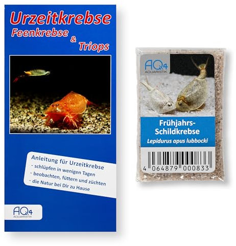 Frühjahrs-Schildkrebs Lepidurus apus lubbocki - 3 x Urzeitkrebse Eier - mit Anleitung - TOP RARITÄT für Spezialisten - Schlupftemperatur bis 10 °C