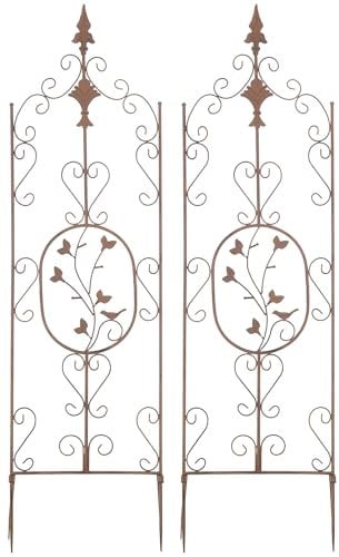 CLP Jeu de 2 treillages Burgus en Fer I Support pour Plantes grimpantes de Style Rustique, Couleur:Marron Antique