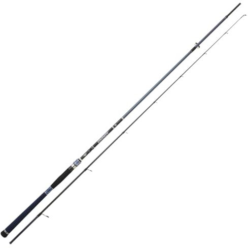 Hearty Rise Divinity 260cm 10-45g Rute - Spinnrute für Zander & Barsche, Angelrute zum Süßwasserangeln & Salzwasserangeln, Meeresrute zum Spinnfischen, Jigrute