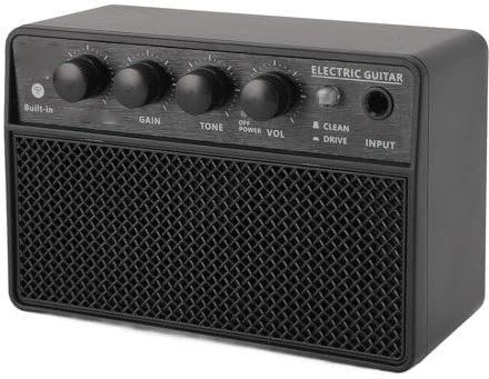 Amplificatore per Basso Subwoofer da 10 W BT Amplificatore Ricaricabile Amplificatore per Chitarra Interfaccia USB C per Live All'aperto Nero