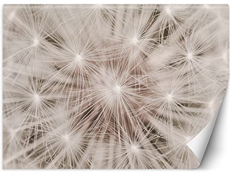 Feeby Papier Peint Intisse Souffleur Nature Macro 250x175 cm beige XXL Photo Mural Muraux Tapisserie Restaurant Pissenlit Gros plan Abstraction