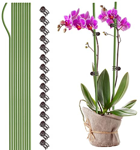 NLDGR Pflanzenstützstäbe mit 15 Pflanzenclips, 61 cm hoch, Einzelstiel-Blumenpfähle, biegbare Pflanzstäbe für Zimmerpflanzen, Orchideen-Clips und Heringe, 10 Stück