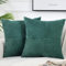 Bettschlange Kissenbezug 45 x 45 cm, 2er Set Kordsamt Kissenbezüge, Kissenhülle Dekokissenbezug Zierkissenbezug Dekokissen Sofakissen für Sofa Schlafzimmer Wohnzimmer Balkon Sessel,Blau Grün