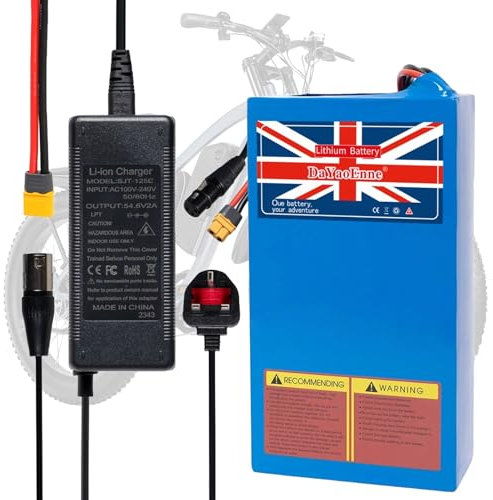 DaYaoEnne 48V 20Ah Lithium Battery Pack for E-Bike/Scooter/Motorcycle | with 2A Charger & BMS Protection | T-Plug Connector | Compatible 200-1200W Motors (CE/UKCA Certified)(48V20Ah with Charger)