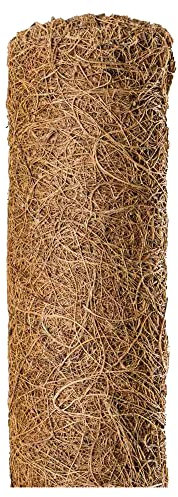 NOOR Kokos-Rankhilfe mit Holzstiel - verlängerbare Pflanzhilfe aus 100 % Naturmaterial - stabile Kletterhilfe für Pflanzen, dekorativ & nachhaltig - Kokosstab 150 x 7 cm Ø