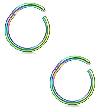 AceFun 2 Stück Segment Nasenringe Clicker Piercing Nase Septum Lippe Tragus Helix Daith Ohrring Knorpel Ring Nasenpiercing Knorpel Chirurgenstahl Bunt 20G-8mm