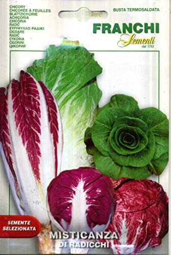 SEMENTI DI ORTAGGI DI QUALITA' PER USO HOBBYSTICO IN BUSTINA TERMOSALDATA (MISTICANZA DI RADICCHI)