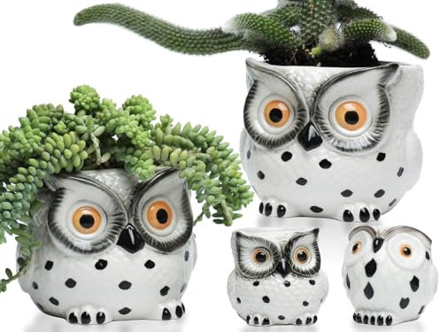 Vasi per piante gufo succulente Vasi per piante per gli amanti dei gufi,pialla con drenaggio 2vasi grandi (15cm)+2piccoli (6,35cm) in ceramica bianca,vasi per utensili da banco,organizer per spatole