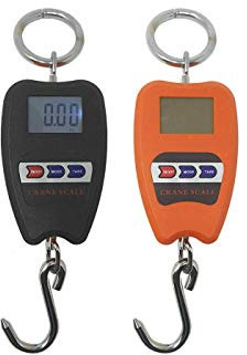 Balance numérique professionnelle crochet dynamomètre ressort 200 kg suspension ressort