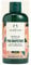 The Body Shop Pink Grapefruit Shower Gel 250ml - Zingy & Refreshing - Vegan